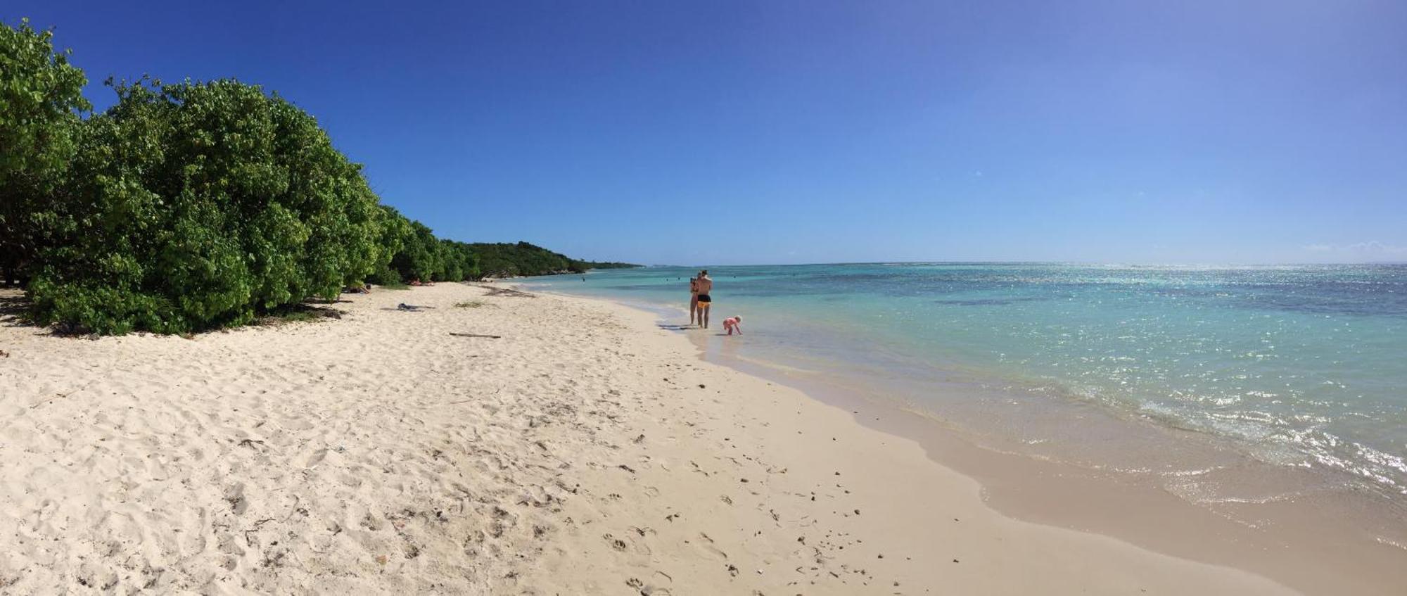 Les Saintes 4/5 P A 50m De La De L'anse De Mancillier *