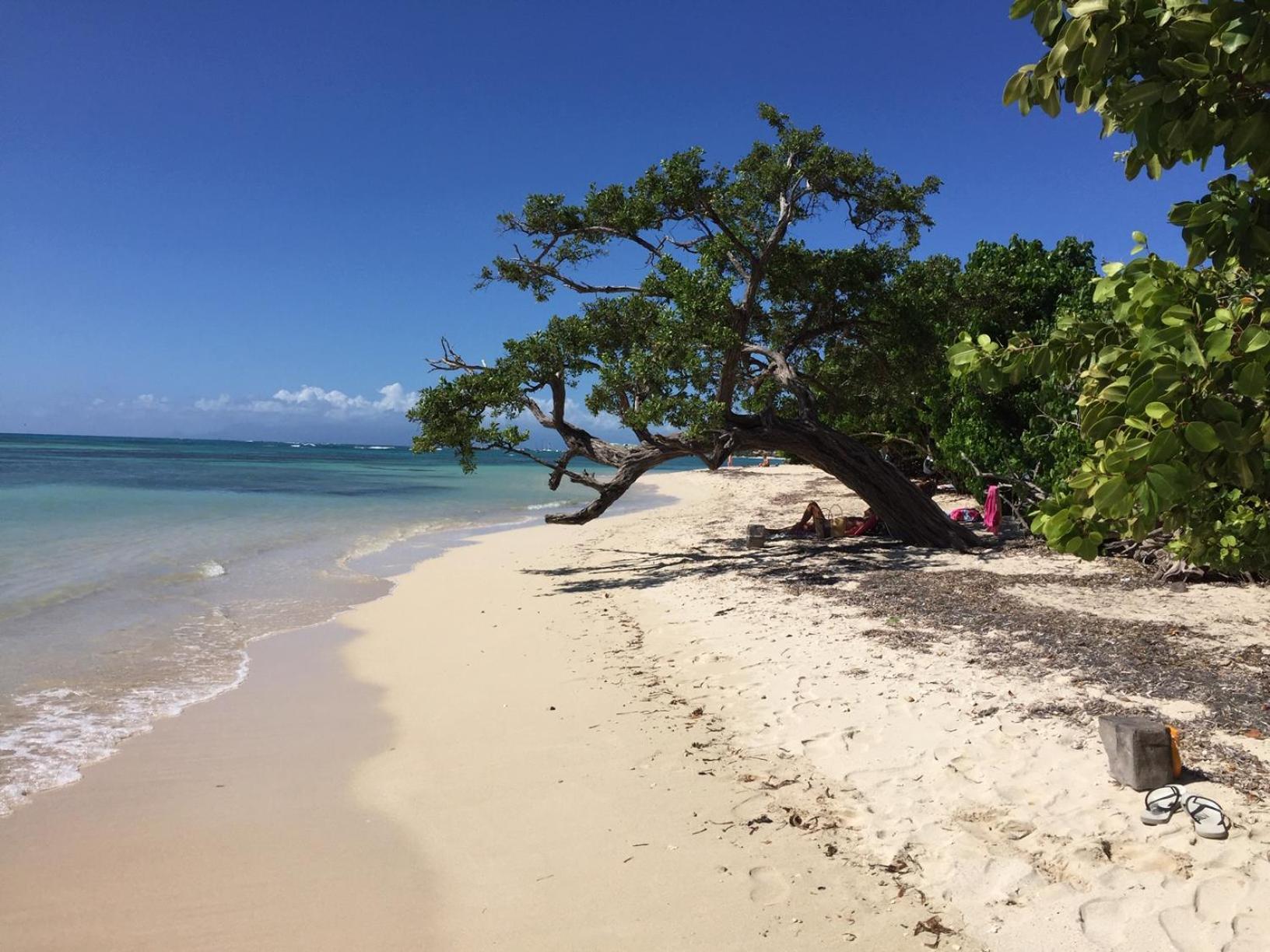 Les Saintes 4/5 P A 50m De La De L'anse De Mancillier Saint-Francois (Grande-Terre)