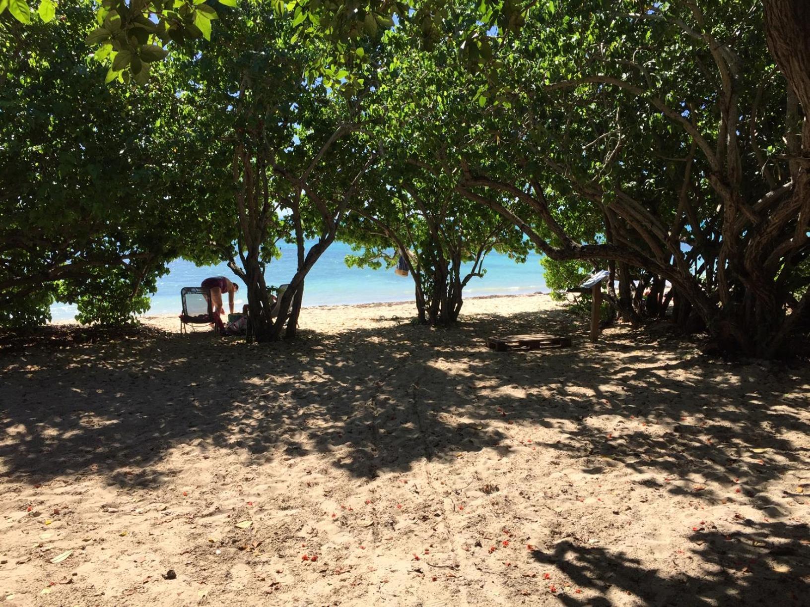 Villa Les Saintes 4/5 P A 50m De La De L'anse De Mancillier *
